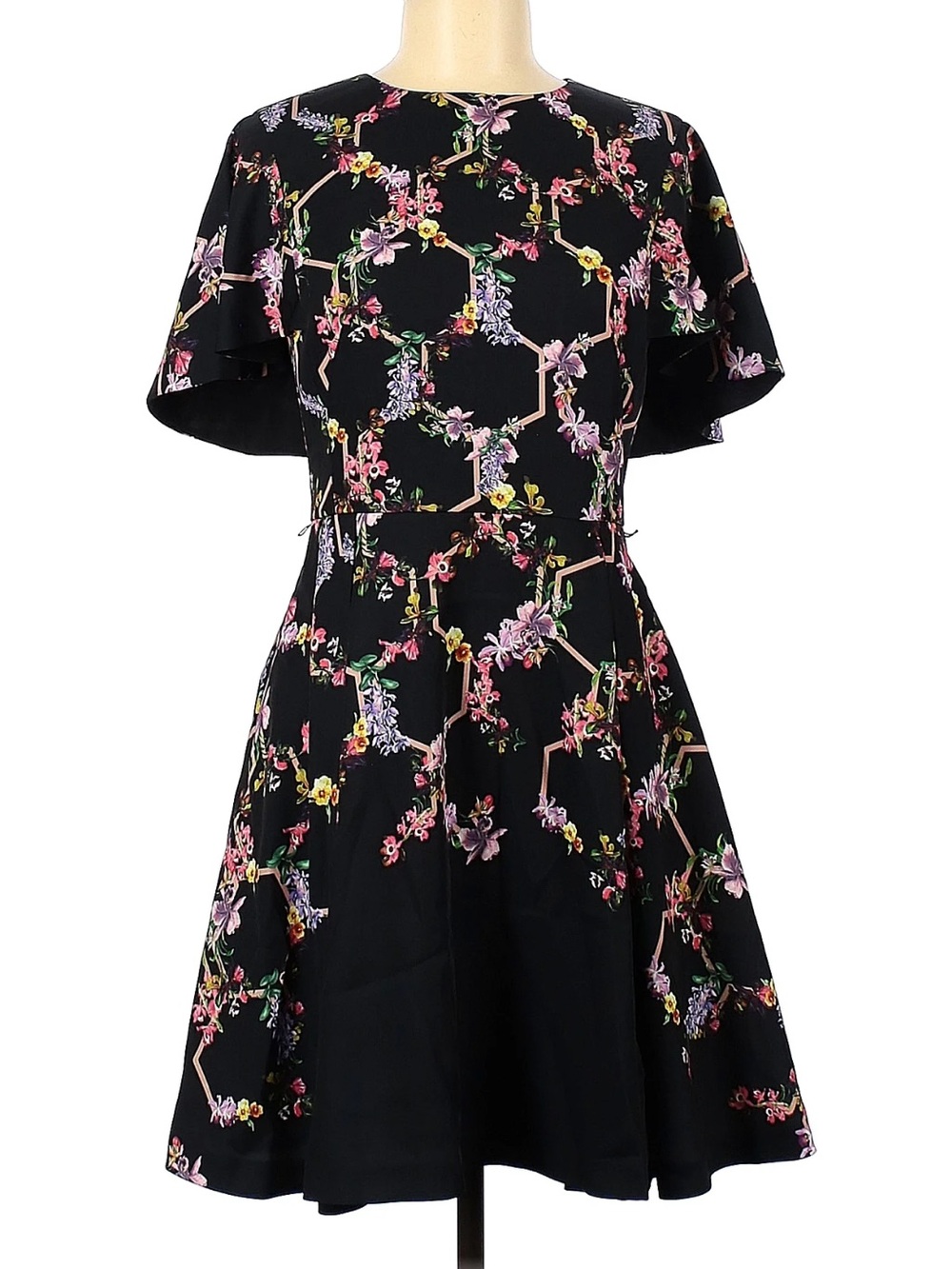 Ted Baker London Black Floral Fit-and-Flare Mini Dress